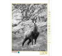 CALVENDO Puzzle An image from the "Wild Mountain World in Europe" calendar | 100