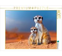 Puzzle · Une Image Incroyablement impressionnante | 1000 pièces · Format assemblé 64 × 48 cm · CALVENDO Puzzle