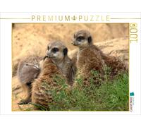 CALVENDO Puzzle Aneinander kuscheln lieben Erdmännchen | 1000 Teile Lege-Größe 6