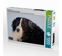 CALVENDO Puzzle Animal Close Portraits de Bernois 1000 Pieces 64 x 48 cm from Sonja Brenner