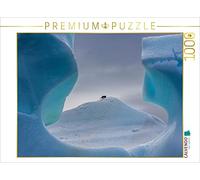 CALVENDO Puzzle Antarctique - Pingouin dans la fenêtre 1000 Pieces 64 x 48 cm from Michael Altmaier