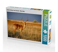 CALVENDO Puzzle Antilope Impala dans la Savane - Masai Mara 1000 Pieces 64 x 48 cm from Martina Schikore