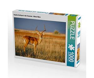 CALVENDO Puzzle Antilope Impala dans la Savane - Masai Mara 1000 Pieces 64 x 48 cm from Martina Schikore