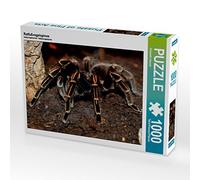 CALVENDO Puzzle Araignée Oiseau à Pieds Rouges 1000 Pieces 64 x 48 cm from Elisabeth Stanzer