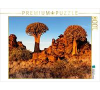 CALVENDO Puzzle Arbre à carquois dans la lumière du Soir dans Le désert du Namib en Namibie 1000 Pieces 64 x 48 cm from Sandra Schänzer