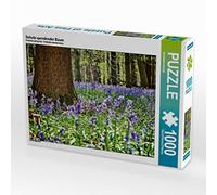 CALVENDO Puzzle Arbre abritant 1000 Pieces 64 x 48 cm from Patrick Bombaert