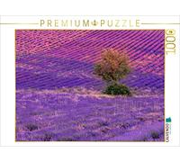 CALVENDO Puzzle Arbre dans Les Champs de Lavande à Ferrassières 1000 Pieces 64 x 48 cm from Joana Kruse