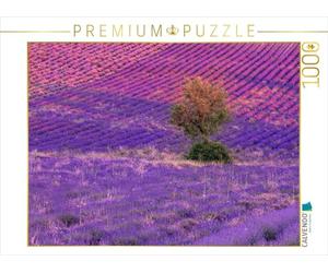 CALVENDO Puzzle Arbre dans Les Champs de Lavande à Ferrassières 1000 Pieces 64 x 48 cm from Joana Kruse