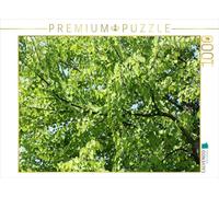CALVENDO Puzzle Arbre Katsura 1000 Pieces 64 x 48 cm from Konrad Weiß