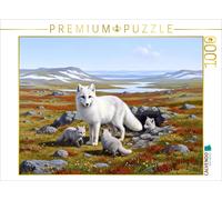 CALVENDO Puzzle Arctic fox with cubs in the tundra | 1000 pieces, finished size