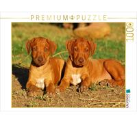 CALVENDO Puzzle Aren't we cute? | 1000 pieces, finished size 25.2 × 18.9 in (64