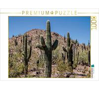 CALVENDO Puzzle Arizona Désert de Sonora 1000 Pieces 64 x 48 cm from Melanie Viola
