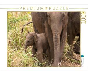 CALVENDO Puzzle Asiatische Elefanten 1000 Teile Puzzle quer 1000 Pieces 64 x 48 cm from Jörg Sobottka