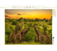 CALVENDO Puzzle Assemblage de la Girafe 1000 Pieces 64 x 48 cm from Heinz-Peter Schwerin