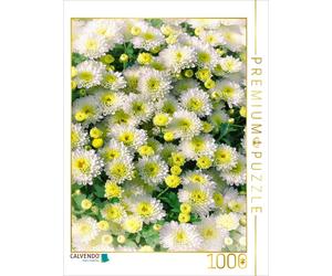 CALVENDO Puzzle Astern | 1000 Teile Lege-Größe 64x48cm Foto-Puzzle für glücklich