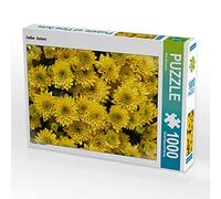 CALVENDO Puzzle Asters Jaunes 1000 Pieces 48 x 64 cm from Nina Schwarze