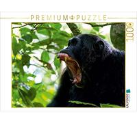 CALVENDO Puzzle Attention ! 1000 Pieces 64 x 48 cm from Hawkeyes-Pictures