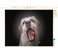CALVENDO Puzzle Attrape la friandise 1000 Pieces 64 x 48 cm from Frank Elbe