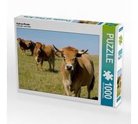 CALVENDO Puzzle Aubrac-Rinder 1000 Teile Puzzle quer 1000 Pieces 64 x 48 cm from Sabine Löwer
