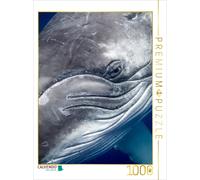 CALVENDO Puzzle Auge an Auge mit dem Buckelwal Kalb 1000 Teile Puzzle hoch | 100