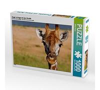 CALVENDO Puzzle Auge in Auge mit der Giraffe 1000 Teile Puzzle quer 1000 Pieces 64 x 48 cm from Wibke Woyke