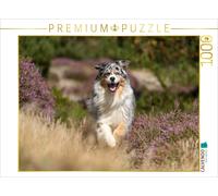 CALVENDO Puzzle Australian Shepherd in an autumnal setting | 1000 pieces, finish