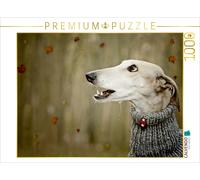 CALVENDO Puzzle Autumn Storm | 1000 pieces, finished size 25.2 × 18.9 in (64 × 4