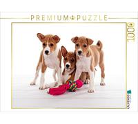CALVENDO Puzzle avec Inscription « Wir können Nichts dazu, wir Sind Einfach süß | 1000 pièces - Dimensions : 64 x 48 cm - Puzzle Photo pour des Heures heureuses