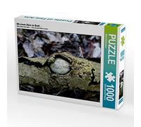 CALVENDO Puzzle avec Une Pierre dans la Planche... 1000 Pieces 64 x 48 cm from Maria Reichenauer Maria