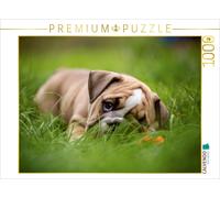CALVENDO Puzzle Bacon de la Montagne de ruines 1000 Pieces 64 x 48 cm from Sabrina Wobith