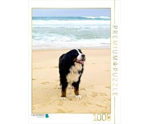 CALVENDO Puzzle BÄR - Le Bouvier Bernois 1000 Pieces 48 x 64 cm from Sonja Brenner