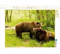 CALVENDO Puzzle Rencontre d'ours à la Saison des amours 1000 Pieces 64 x 48 cm from Photo4emotion.COM