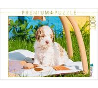CALVENDO Puzzle Bald Wird ER Die Welt erkunden 1000 Teile Puzzle quer 1000 Pieces 64 x 48 cm from Sista-Tierfoto