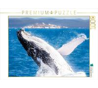 CALVENDO Puzzle Baleine à Bosse à Hervey Bay 1000 Pieces 64 x 48 cm from Uwe Bergwitz