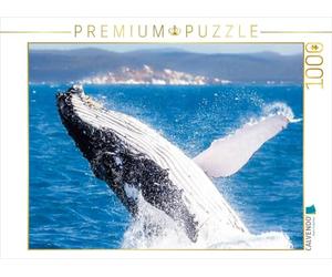 CALVENDO Puzzle Baleine à Bosse à Hervey Bay 1000 Pieces 64 x 48 cm from Uwe Bergwitz