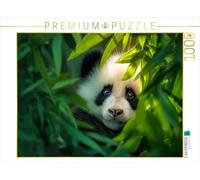 CALVENDO Puzzle Bambou Premier | Taille de la Pose cm Puzzle Photo pour des Heures heureuses