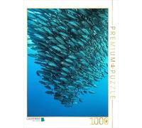 CALVENDO Puzzle Banc de maquereaux - île de Balicasag (Philippines) 1000 Pieces 48 x 64 cm from Henry Jager