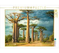 CALVENDO Puzzle Baobab Avenue, Menabe Region | 1000 pieces, finished size 25.2 ×