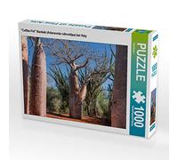 CALVENDO Puzzle Baobab Pot à café (Adansonia rubrostipa) près d'Ifaty 1000 Pieces 64 x 48 cm from Olaf Bruhn