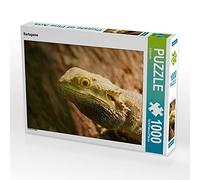 CALVENDO Puzzle Bartagame 1000 Teile Puzzle quer 1000 Pieces 64 x 48 cm from Kattobello