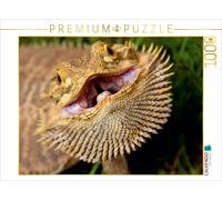 CALVENDO Puzzle Dragon Barbu - Australie du Sud 1000 Pieces 64 x 48 cm from Aussiefreak