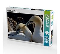 CALVENDO Puzzle Bas, Bass Rock 1000 Pièces, Taille de la Plage, 64 x 48 cm, Photo Puzzle Image de Katja Jentschura