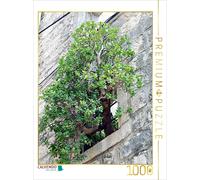 CALVENDO Puzzle Baum im Fenster 1000 Teile Puzzle hoch | 1000 Teile Lege-Größe 6