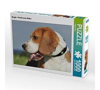 CALVENDO Puzzle Beagle - Portrait d'un Chien mâle 1000 Pieces 64 x 48 cm from Sista-Tierfoto