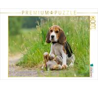 CALVENDO Puzzle Chiot Beagle avec Peluche 1000 Pieces 64 x 48 cm from Sonja Teßen