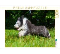 Puzzle CALVENDO Jeune chien de race Bearded Collie | 1000 pièces, format assembl