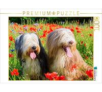 CALVENDO Puzzle Bearded Collies im Mohn 1000 Teile Puzzle quer 1000 Pieces 64 x 48 cm from Christian Müller
