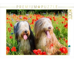 CALVENDO Puzzle Bearded Collies im Mohn 1000 Teile Puzzle quer 1000 Pieces 64 x 48 cm from Christian Müller