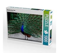 CALVENDO Puzzle Beau Paon 1000 Pieces 64 x 48 cm from Daniela Bertschi