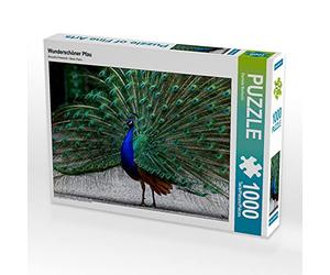 CALVENDO Puzzle Beau Paon 1000 Pieces 64 x 48 cm from Daniela Bertschi